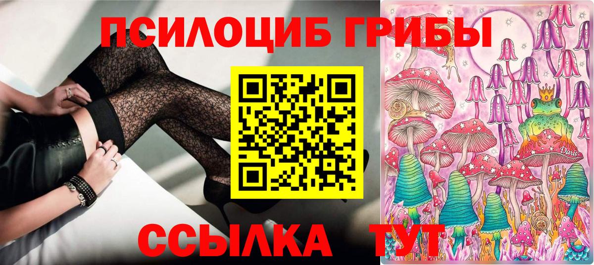 Галлюциногенные грибы GOLDEN TEACHER  Вход с VPN  Котельники 