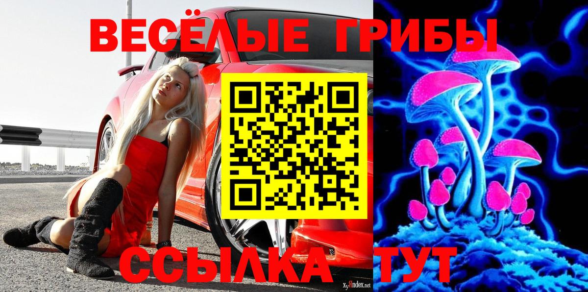 Галлюциногенные грибы Cubensis Котельники